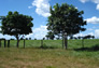 Foto do terreno